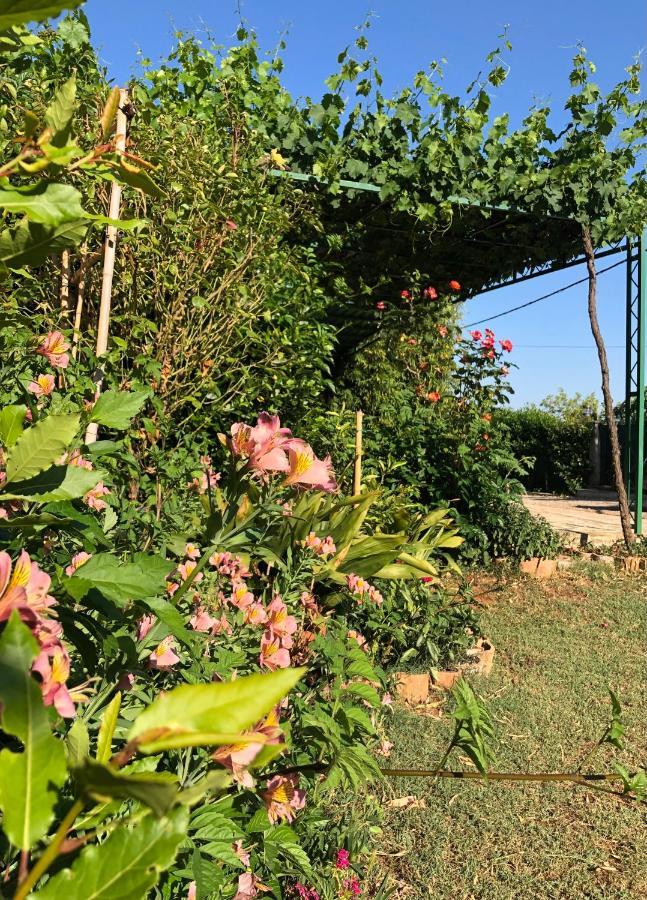 Appartamento da Vjeri Pula Exterior foto