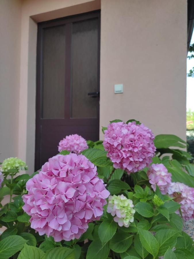 Appartamento da Vjeri Pula Exterior foto