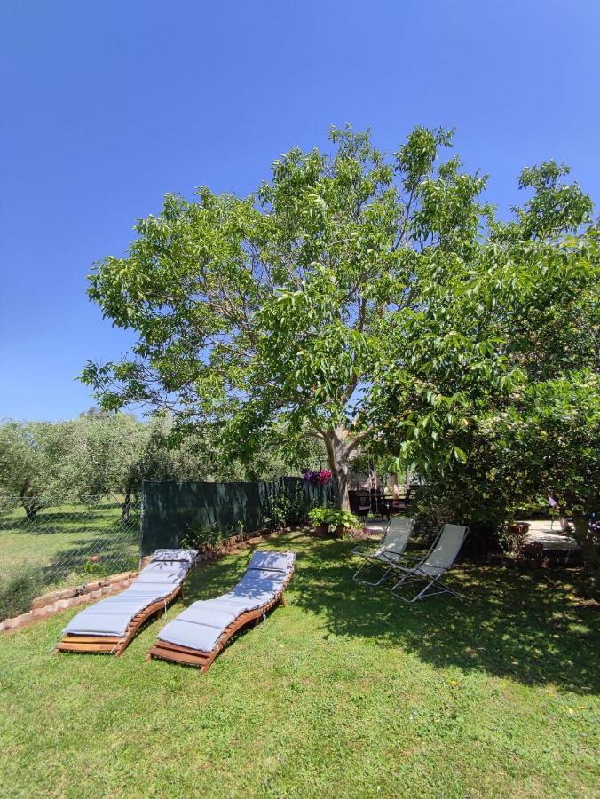 Appartamento da Vjeri Pula Exterior foto