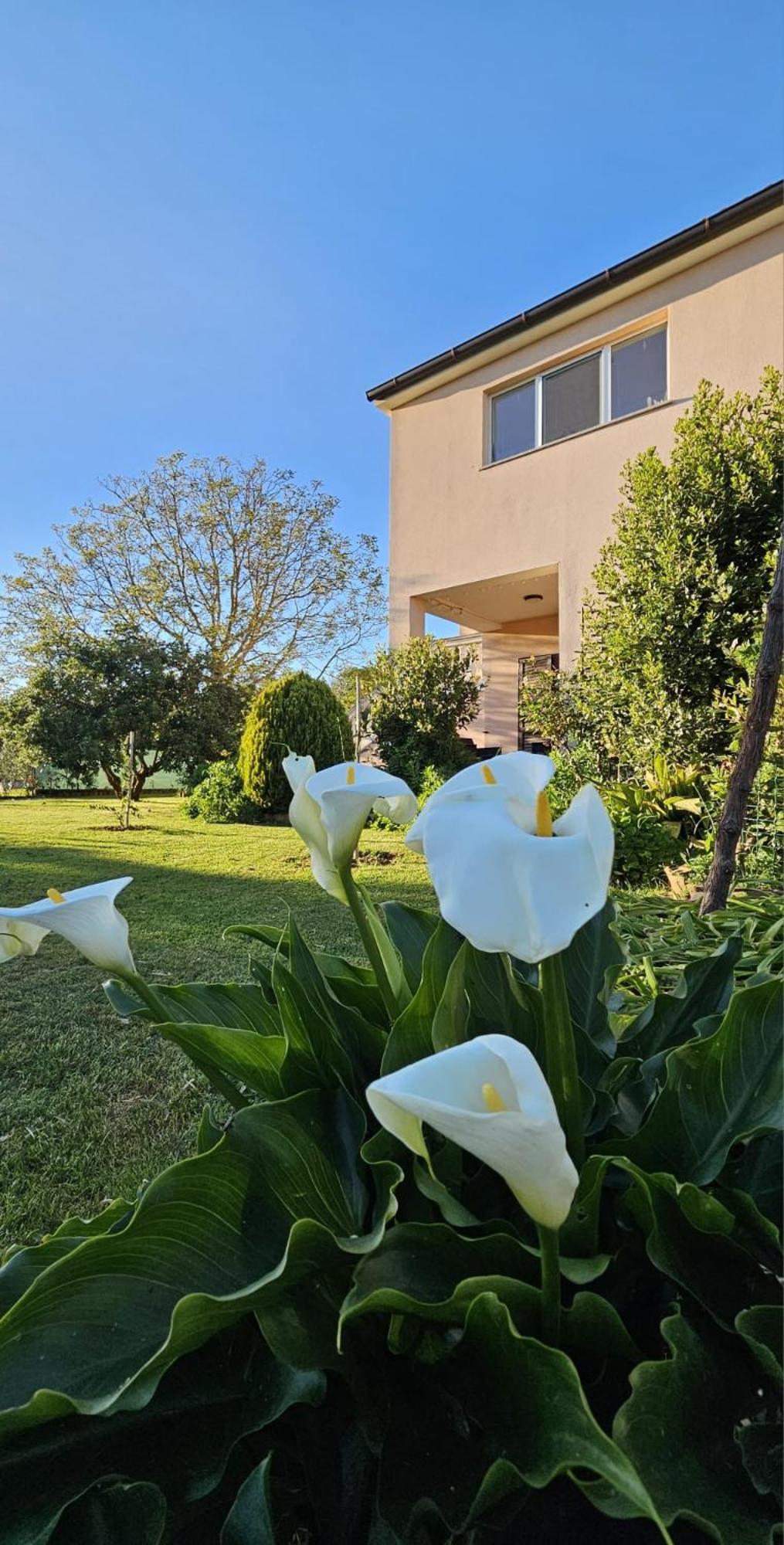 Appartamento da Vjeri Pula Exterior foto